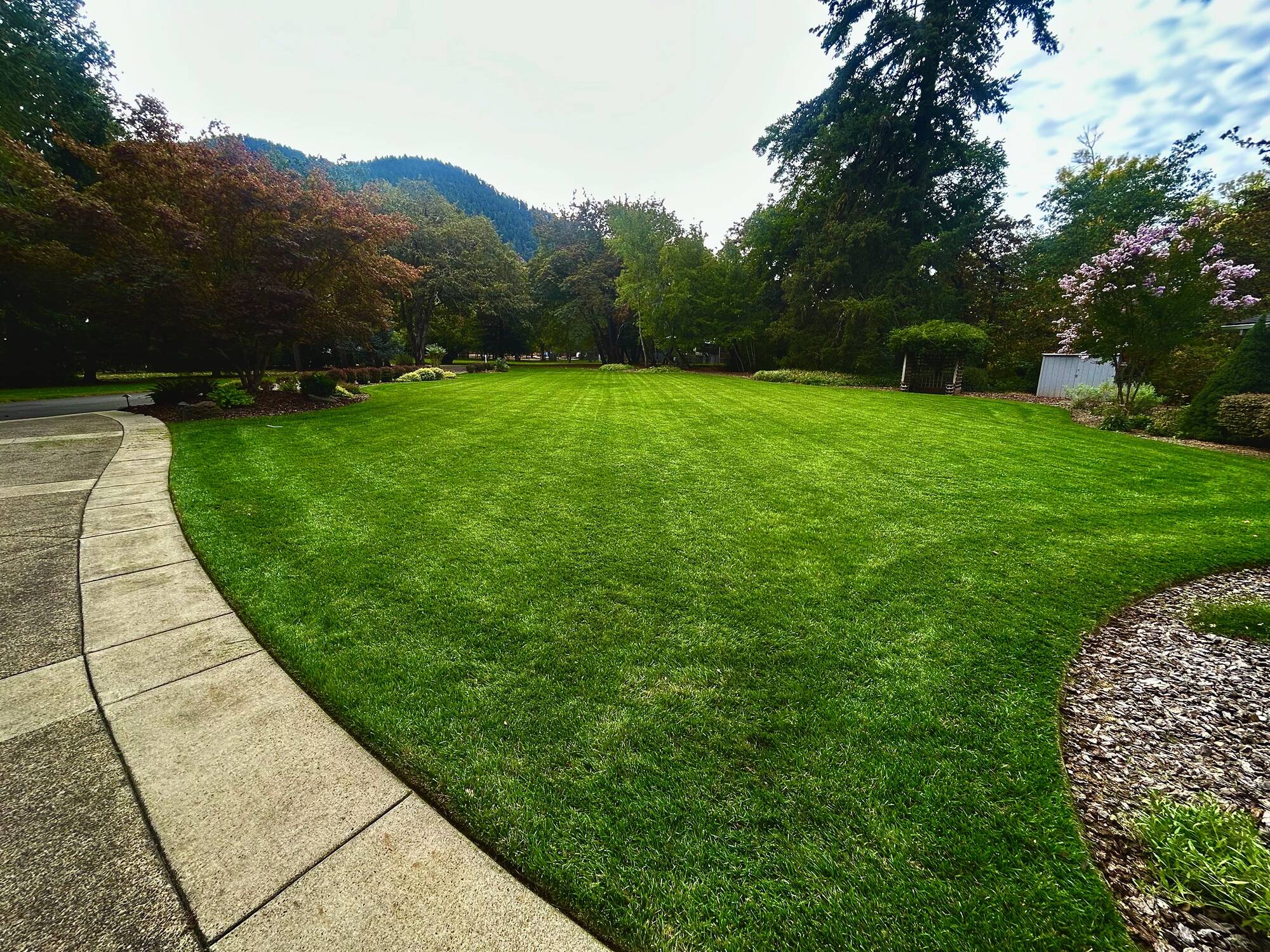Freshly striped lawn beside a curved walkway with the mountains behind, Grants Pass