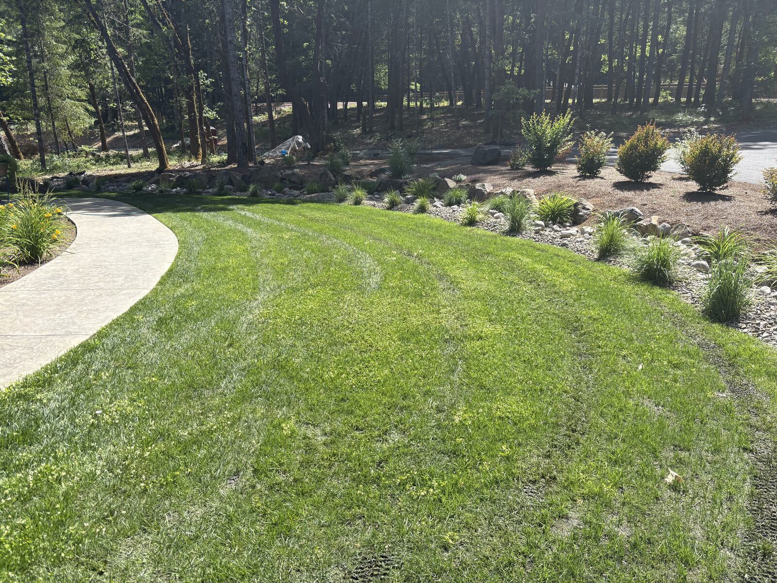 Freshly mowed lawn bordered by a planted rock garden